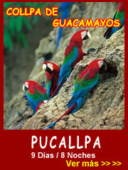 Aventura